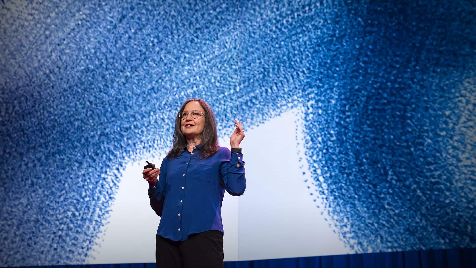 Videos - Photographing nature beyond the limits of human perception