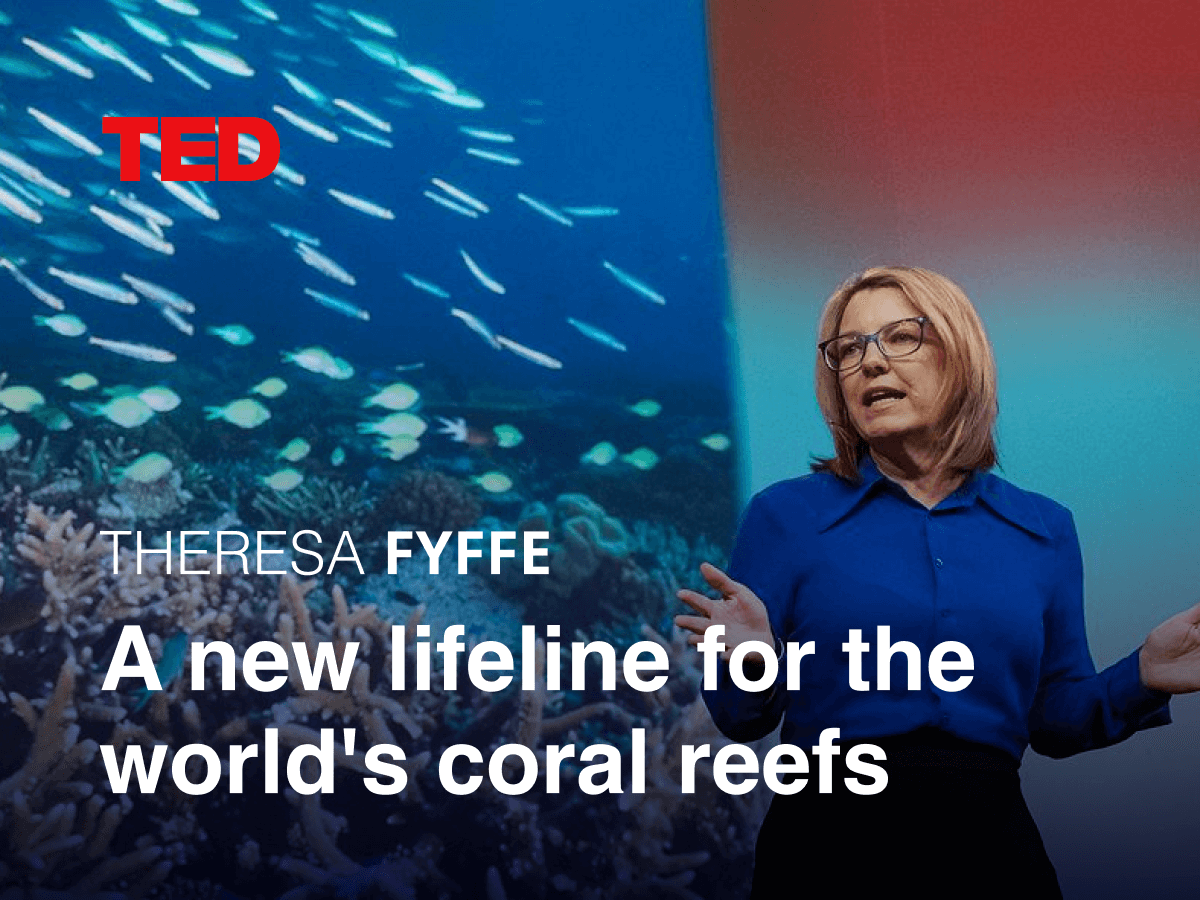 Videos - A new life for the coral reef