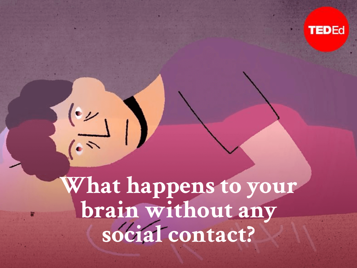 Videos - What happens to your brain without any social contact_