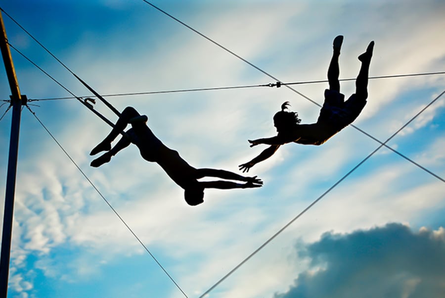 Featured image for “Collaborative Leadership / Genius”